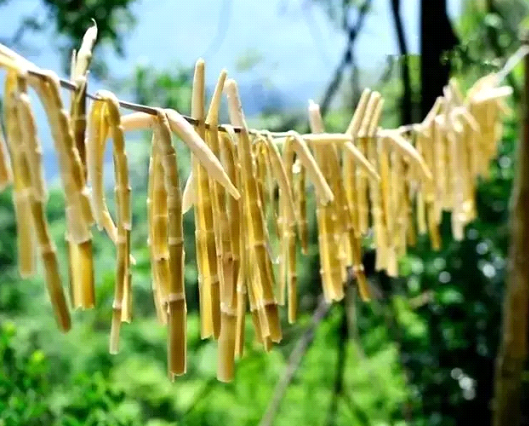 吃春笋，，，，，，不可辜负的至鲜皖味
