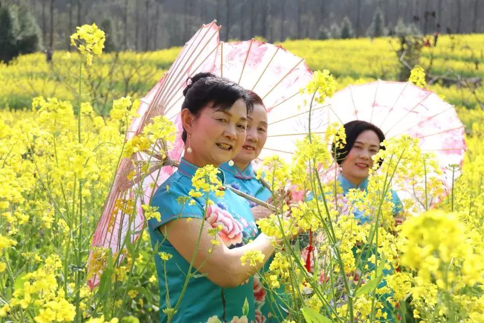 乐天堂fun88·(中国区)官方网站